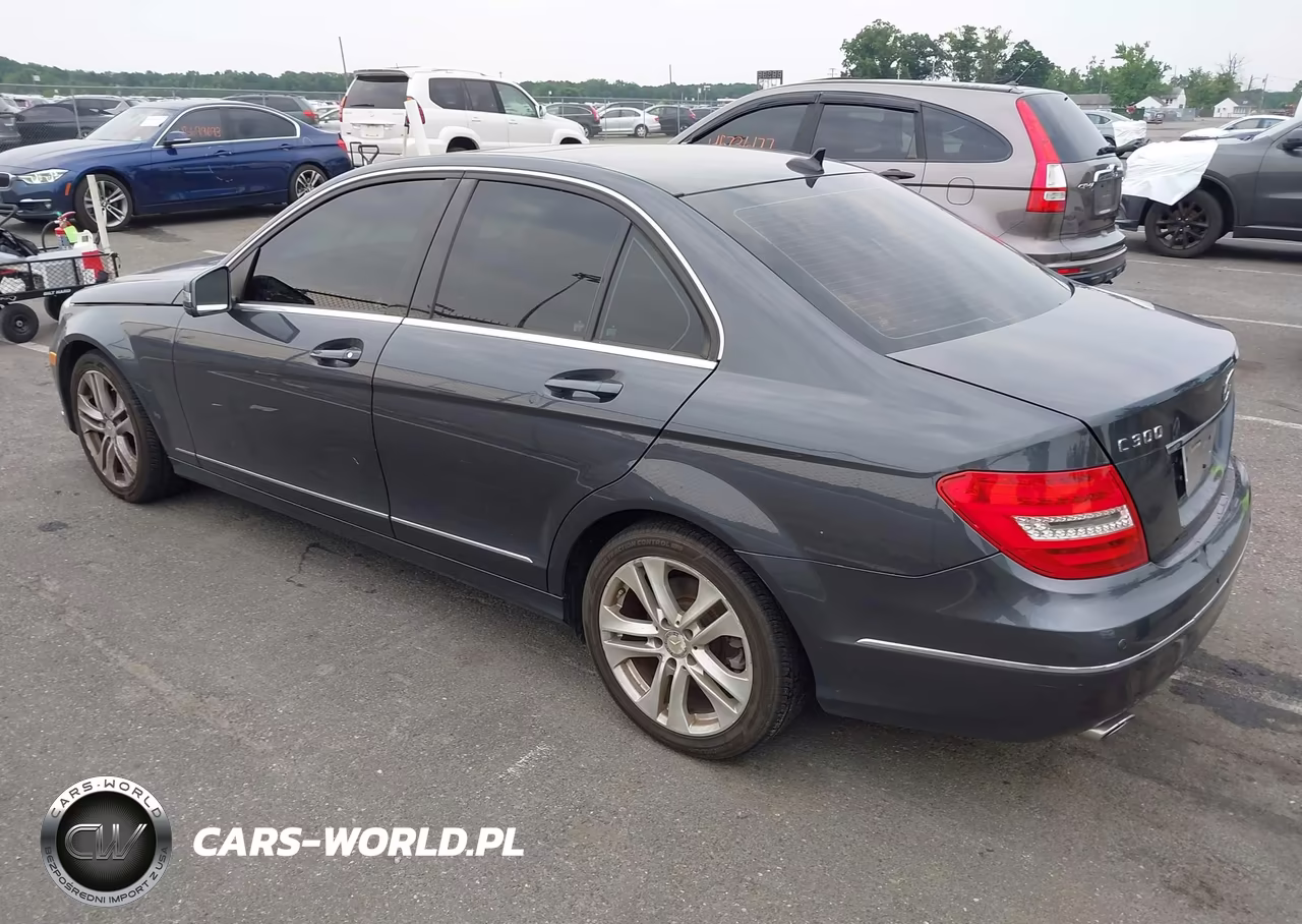 2014 Mercedes-Benz C 300 Luxury 4Matic VIN:WDDGF8AB8ER305654 - 3
