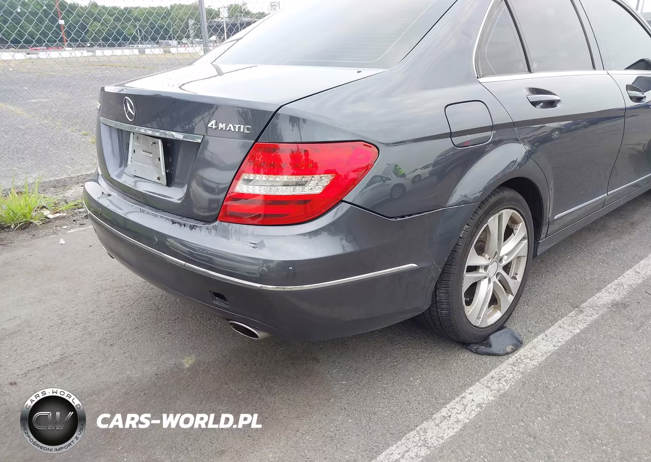 2014 Mercedes-Benz C 300 Luxury 4Matic VIN:WDDGF8AB8ER305654 - 6