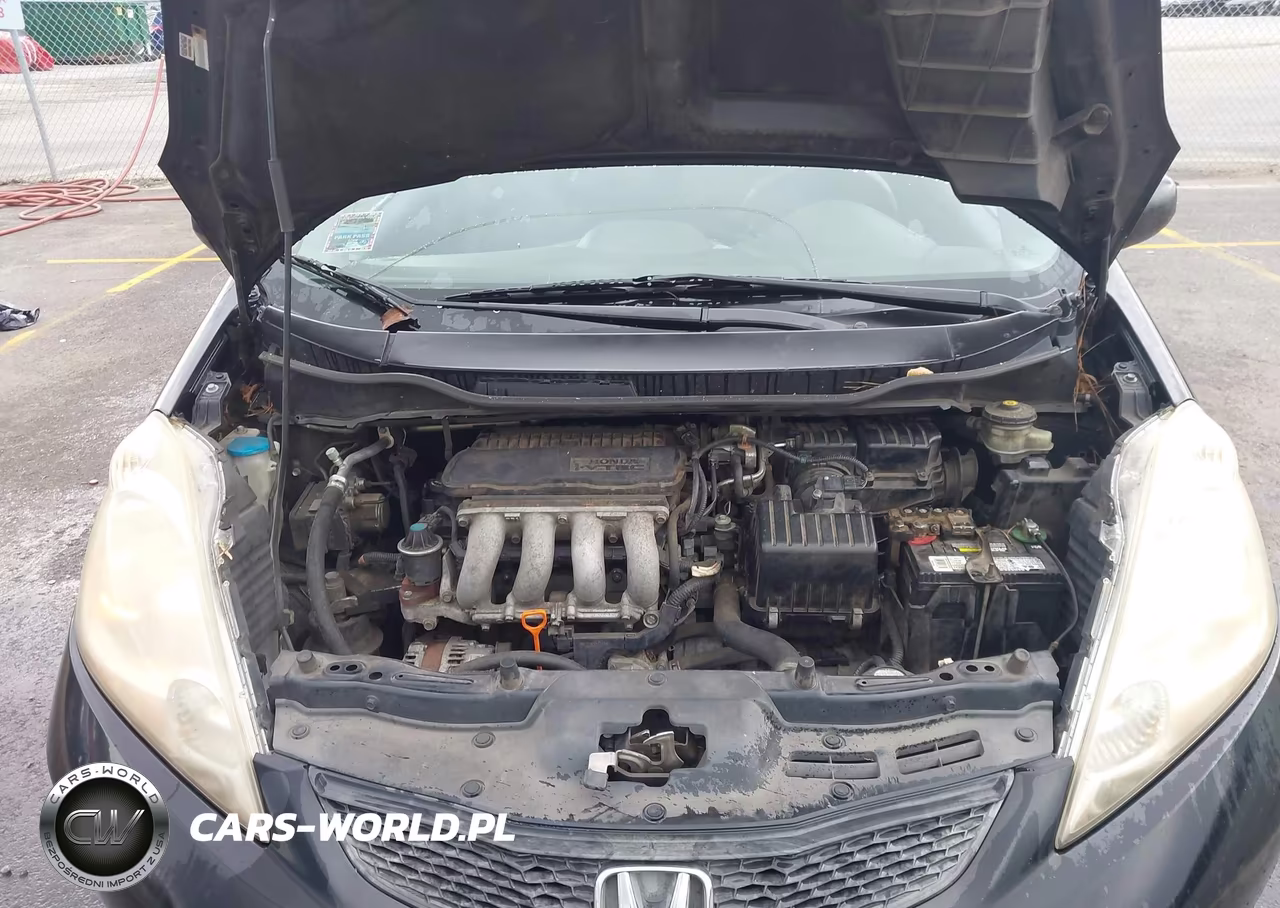 2010 Honda Fit Sport VIN:JHMGE8H46AC039695 - 10