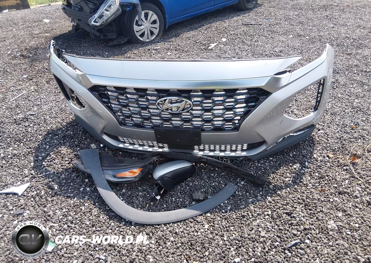 2019 Hyundai Santa Fe Se VIN:5NMS23AD3KH103051 - 12