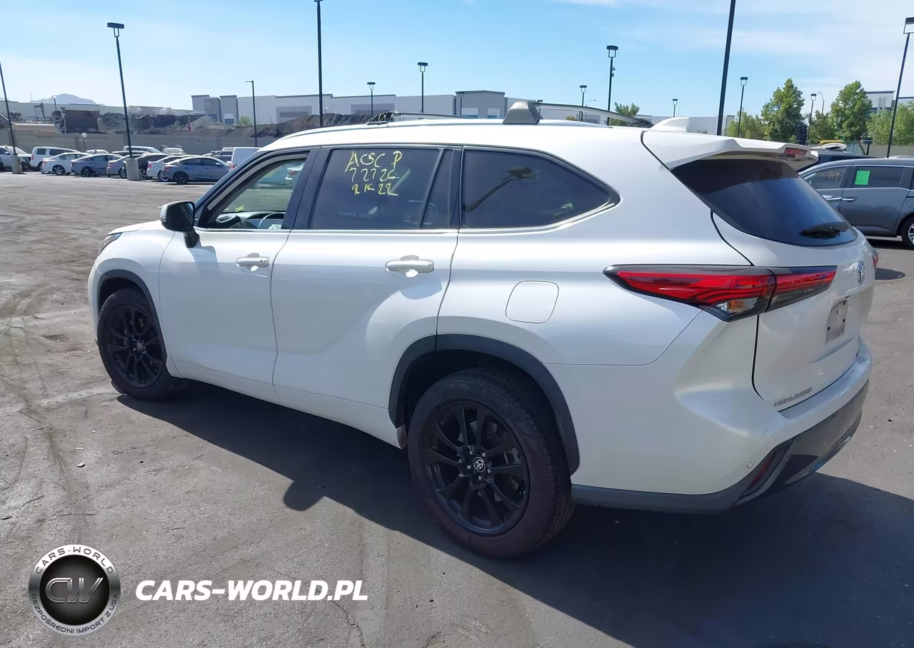 2020 Toyota Highlander Limited VIN:5TDYZRAH7LS010317 - 3
