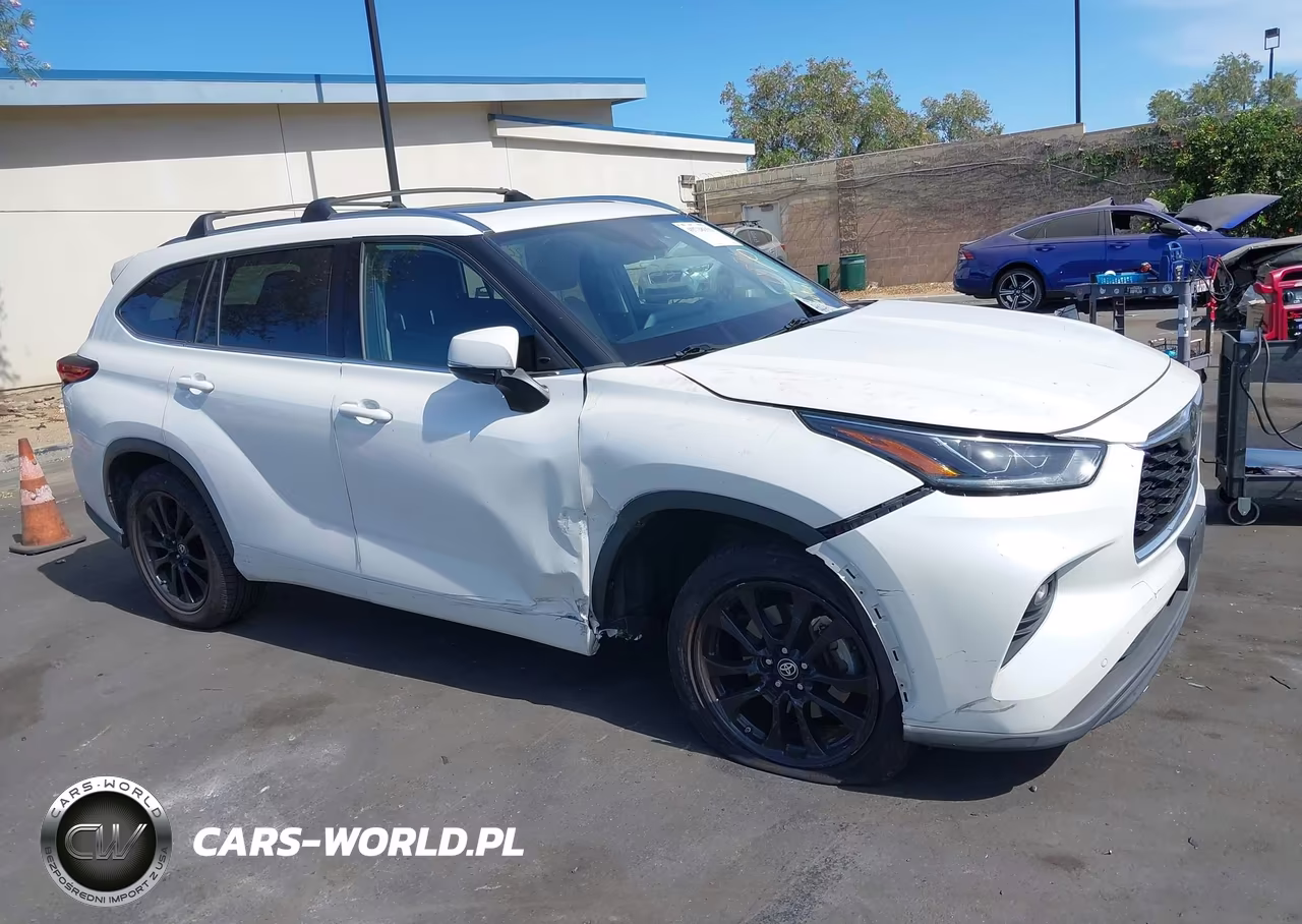 2020 Toyota Highlander Limited VIN:5TDYZRAH7LS010317 - 6
