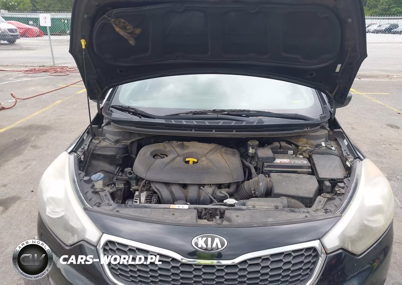 2015 Kia Forte Lx VIN:KNAFK4A63F5403364 - 10