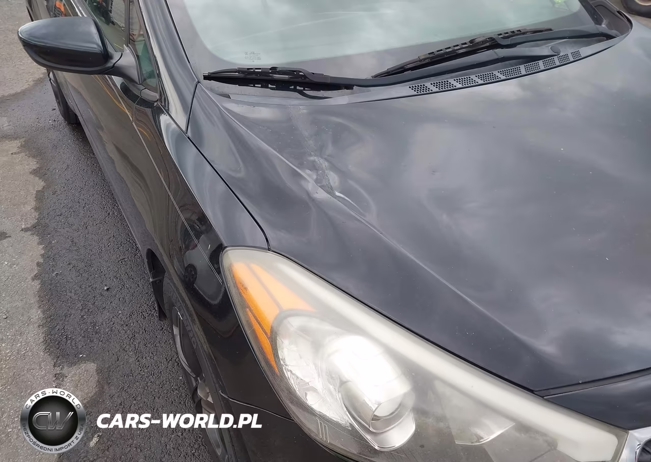 2015 Kia Forte Lx VIN:KNAFK4A63F5403364 - 12