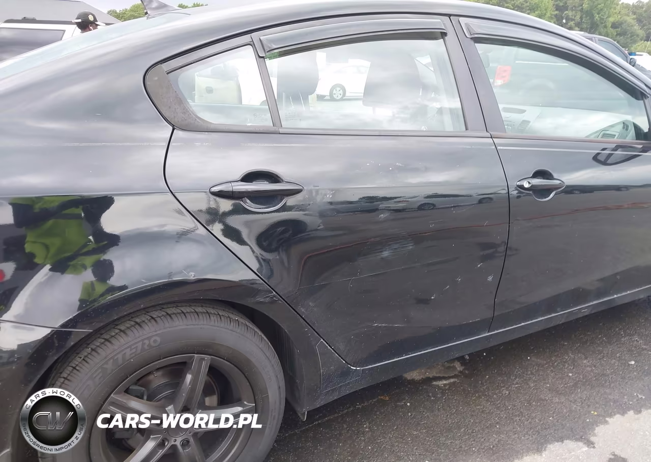 2015 Kia Forte Lx VIN:KNAFK4A63F5403364 - 13