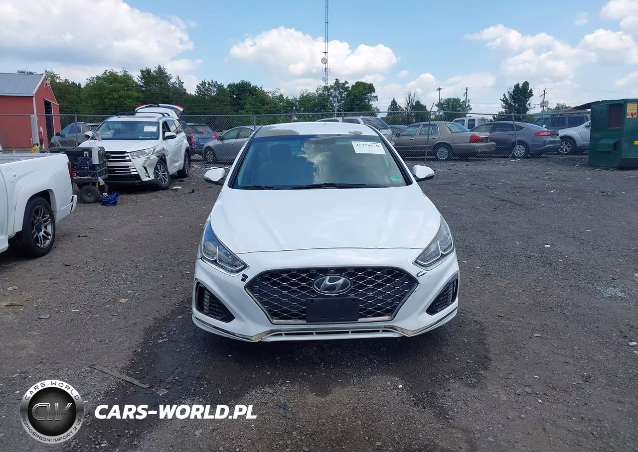 2019 Hyundai Sonata Sel VIN:5NPE34AF9KH784983 - 13