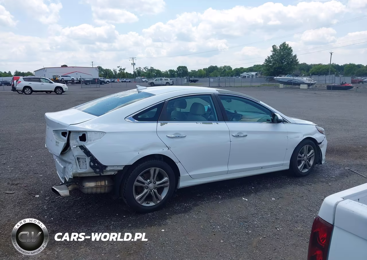 2019 Hyundai Sonata Sel VIN:5NPE34AF9KH784983 - 14