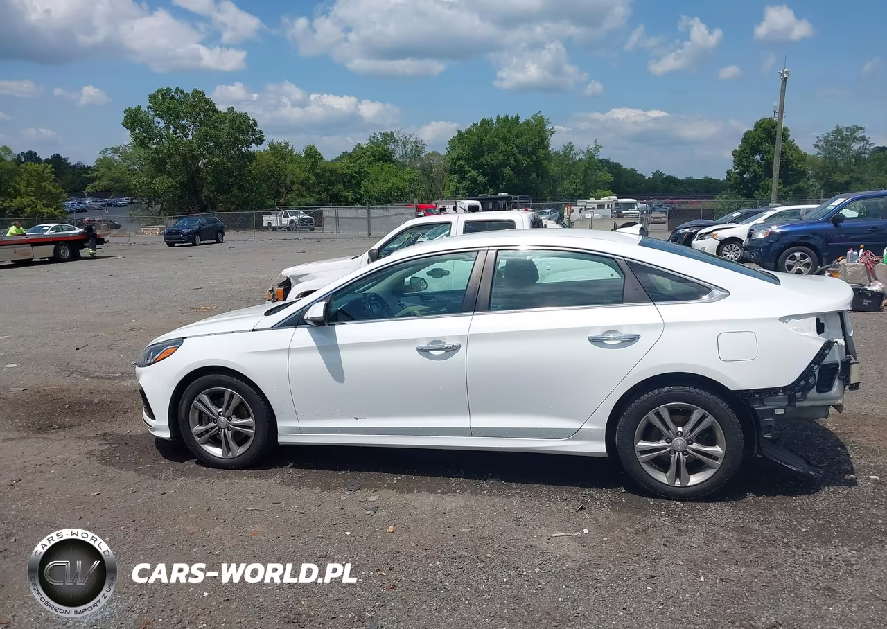 2019 Hyundai Sonata Sel VIN:5NPE34AF9KH784983 - 15