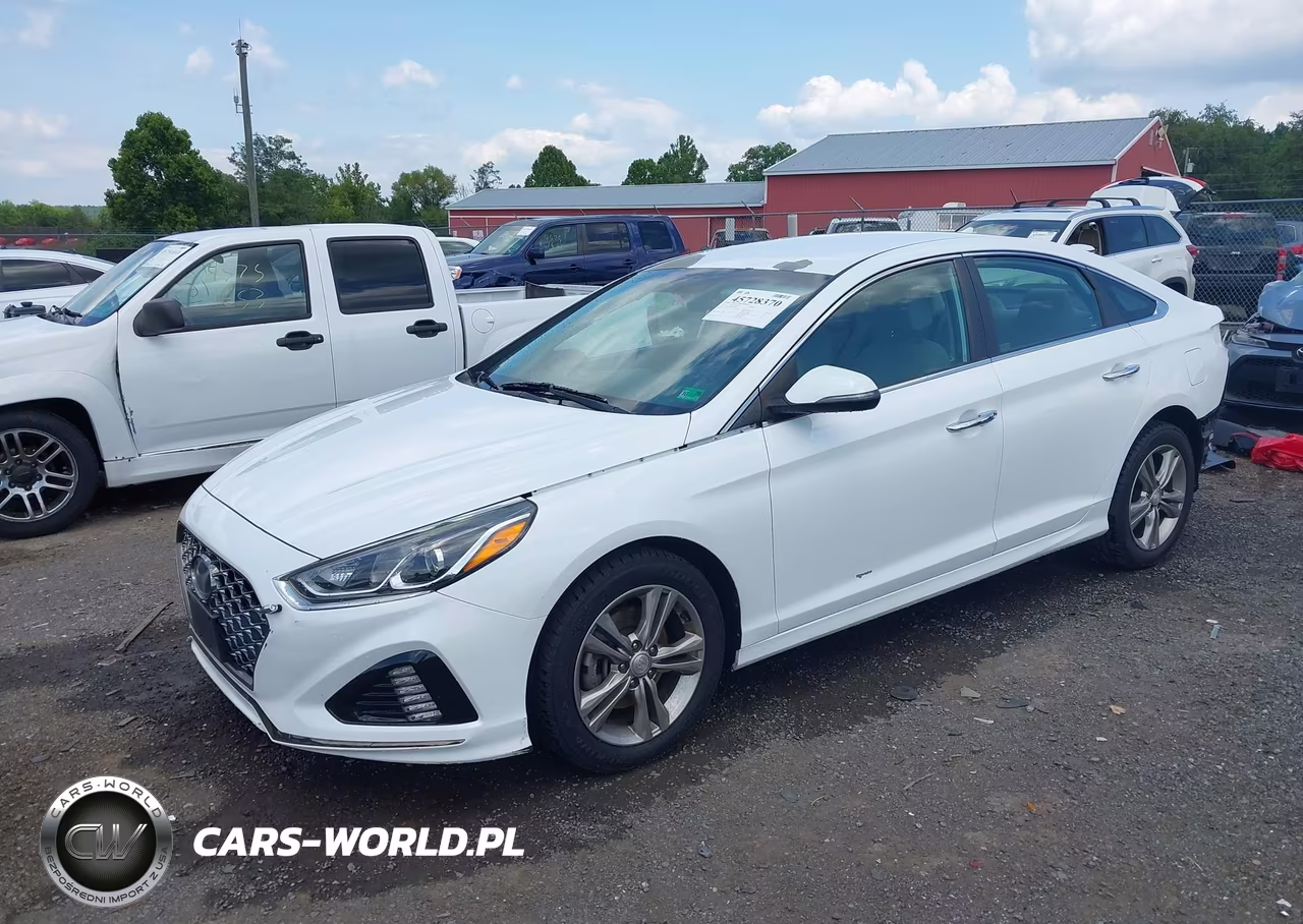 2019 Hyundai Sonata Sel VIN:5NPE34AF9KH784983 - 2