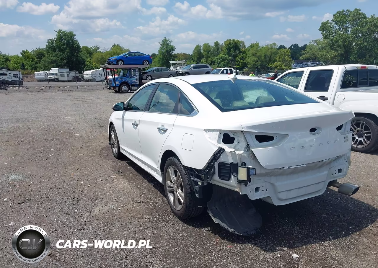 2019 Hyundai Sonata Sel VIN:5NPE34AF9KH784983 - 3