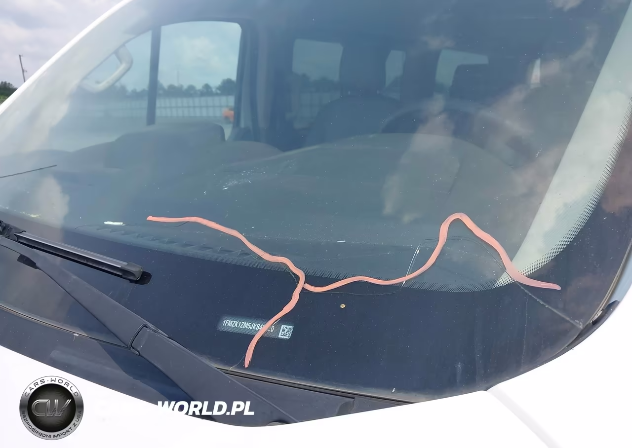 2018 Ford Transit-150 Xl VIN:1FMZK1ZM5JKB42620 - 17