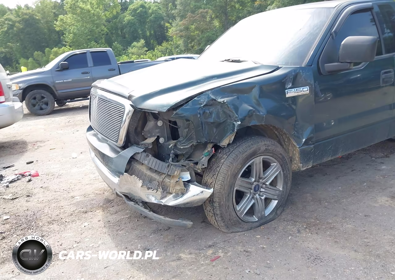 2004 Ford F-150 Stx-Xl-Xlt VIN:1FTRF12W34NB71346 - 6