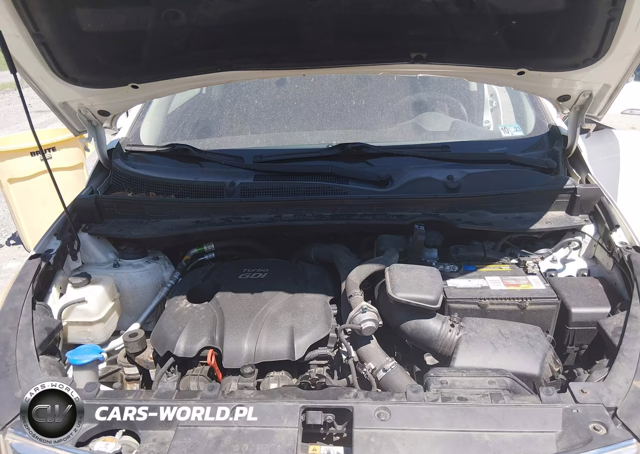2015 Kia Sportage Sx VIN:KNDPCCA66F7793556 - 10