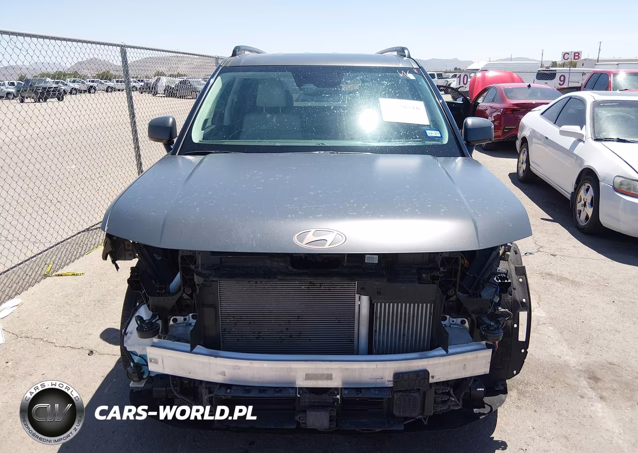 2025 Hyundai Santa Fe Hybrid Calligraphy VIN:5NMP5DG10SH020855 - 13