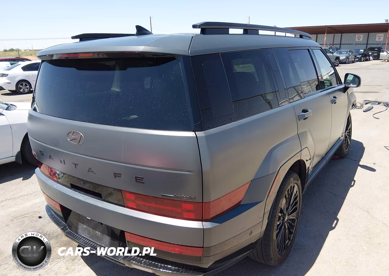 2025 Hyundai Santa Fe Hybrid Calligraphy VIN:5NMP5DG10SH020855 - 4