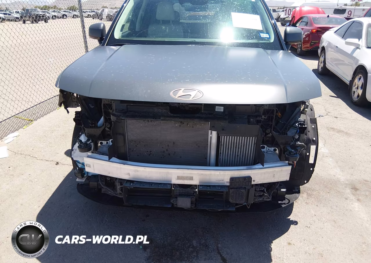 2025 Hyundai Santa Fe Hybrid Calligraphy VIN:5NMP5DG10SH020855 - 6