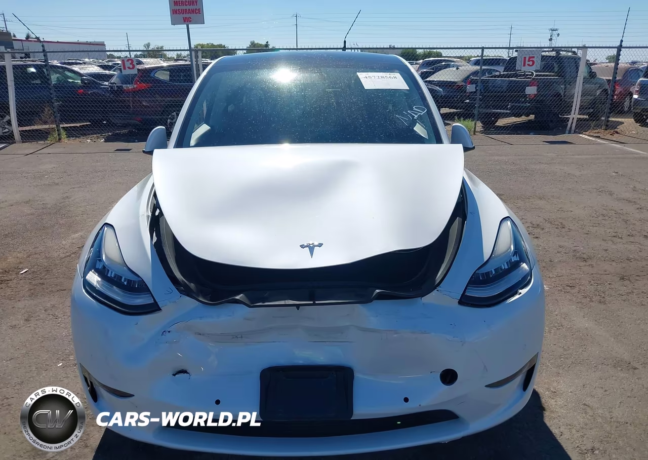 2022 Tesla Model Y Long Range Dual Motor All-Wheel Drive VIN:7SAYGDEE3NF373166 - 11