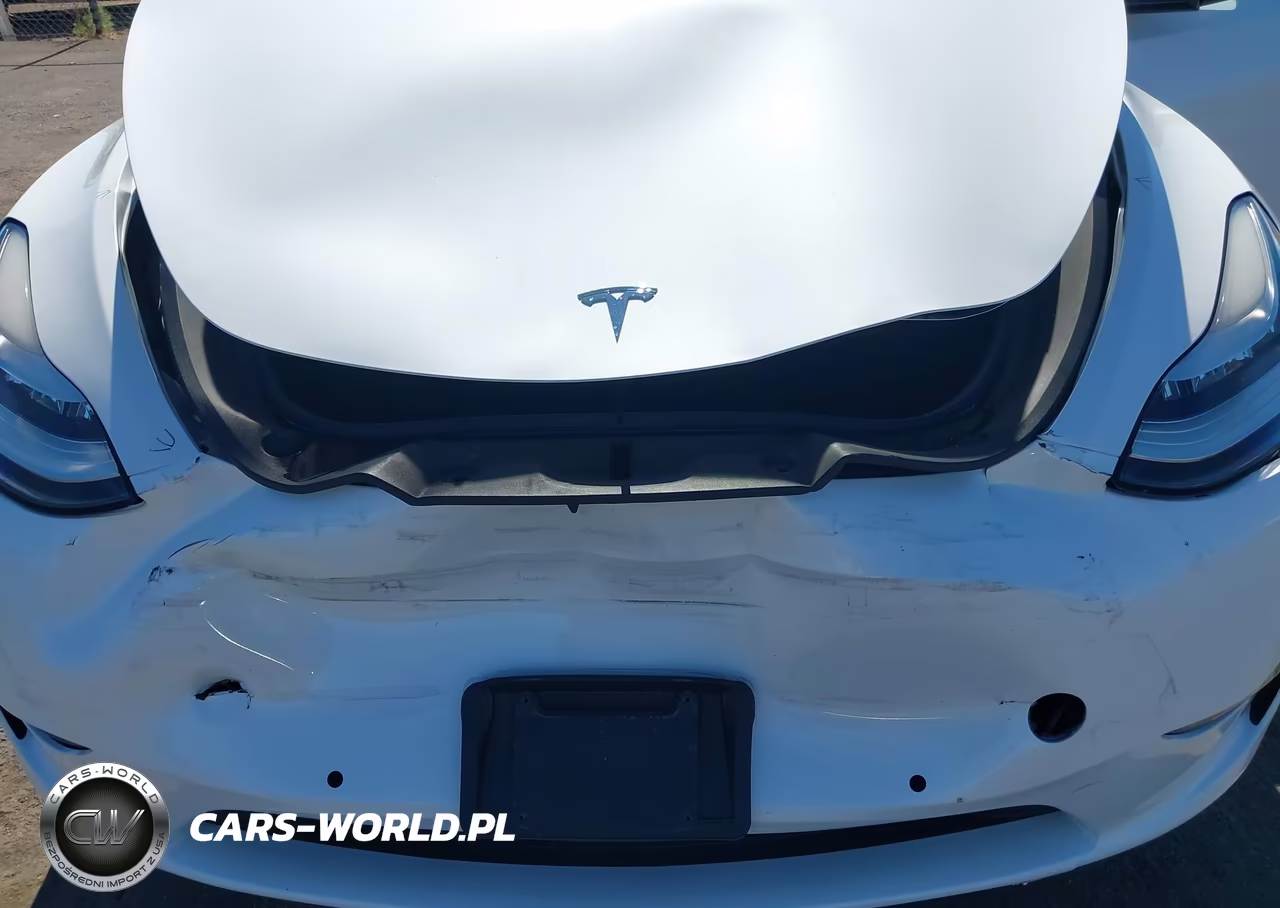 2022 Tesla Model Y Long Range Dual Motor All-Wheel Drive VIN:7SAYGDEE3NF373166 - 6