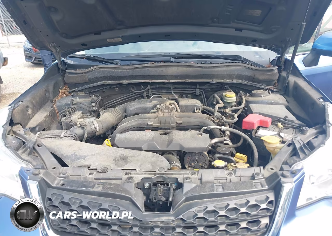 2015 Subaru Forester 2.5I Limited VIN:JF2SJARCXFH404024 - 10