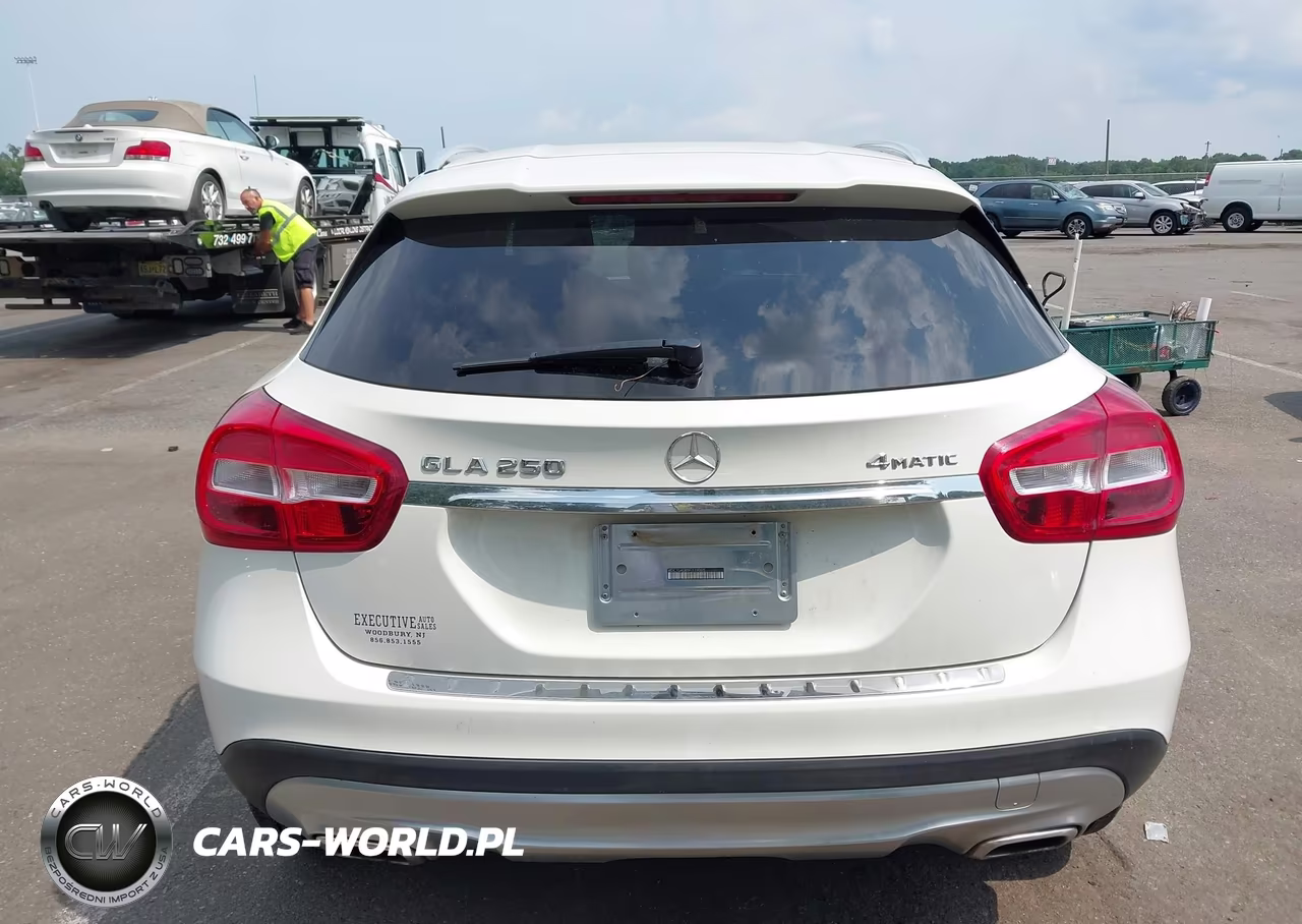 2015 Mercedes-Benz Gla 250 4Matic VIN:WDCTG4GB5FJ119005 - 16