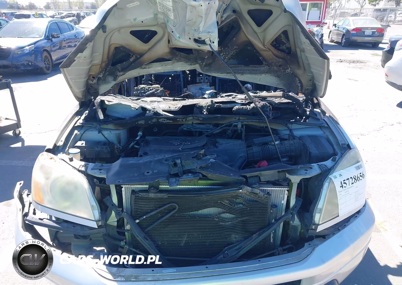 2004 Honda Pilot Ex-L VIN:2HKYF18514H540599 - 10