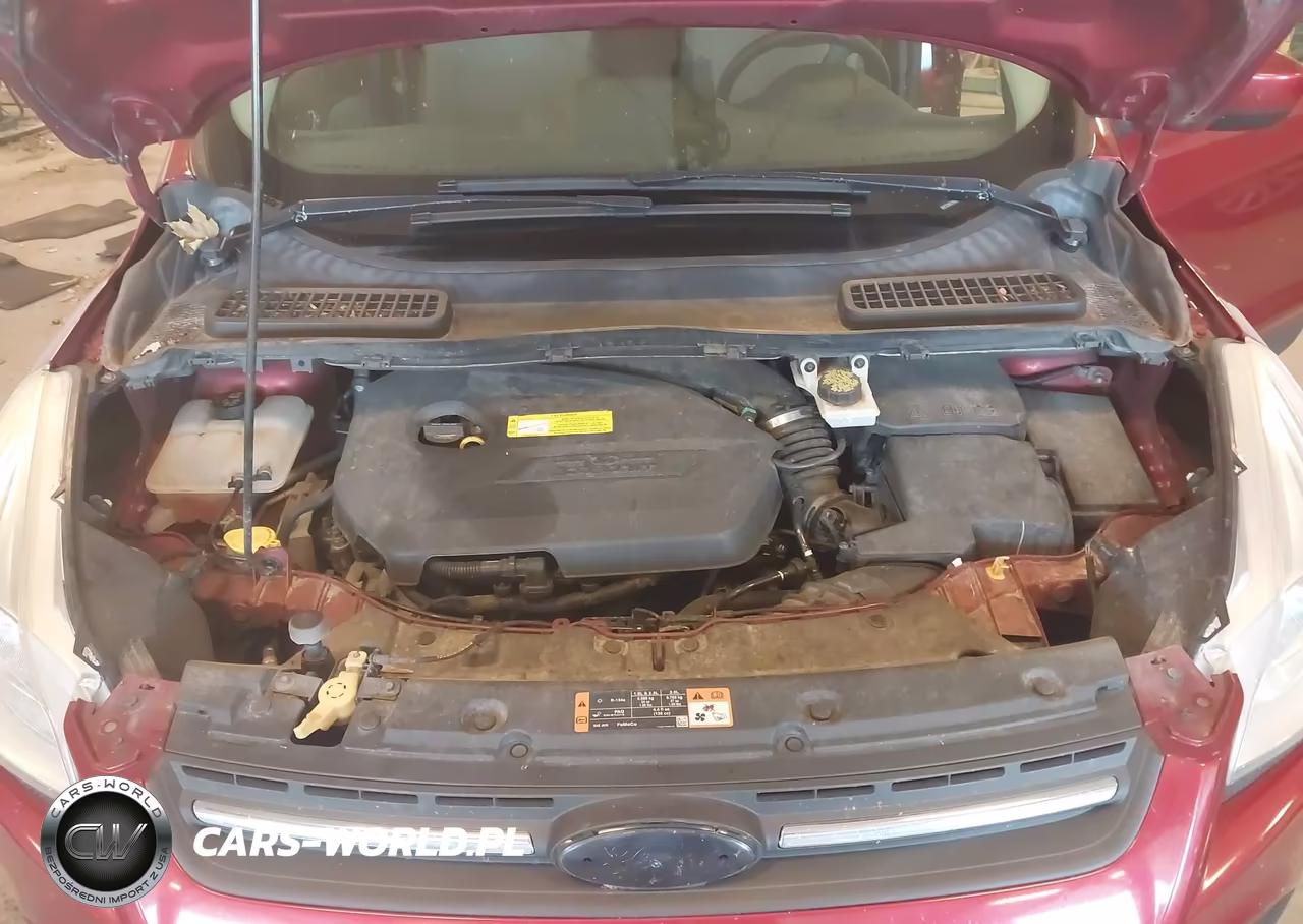 2016 Ford Escape Se VIN:1FMCU0GX0GUA52084 - 10