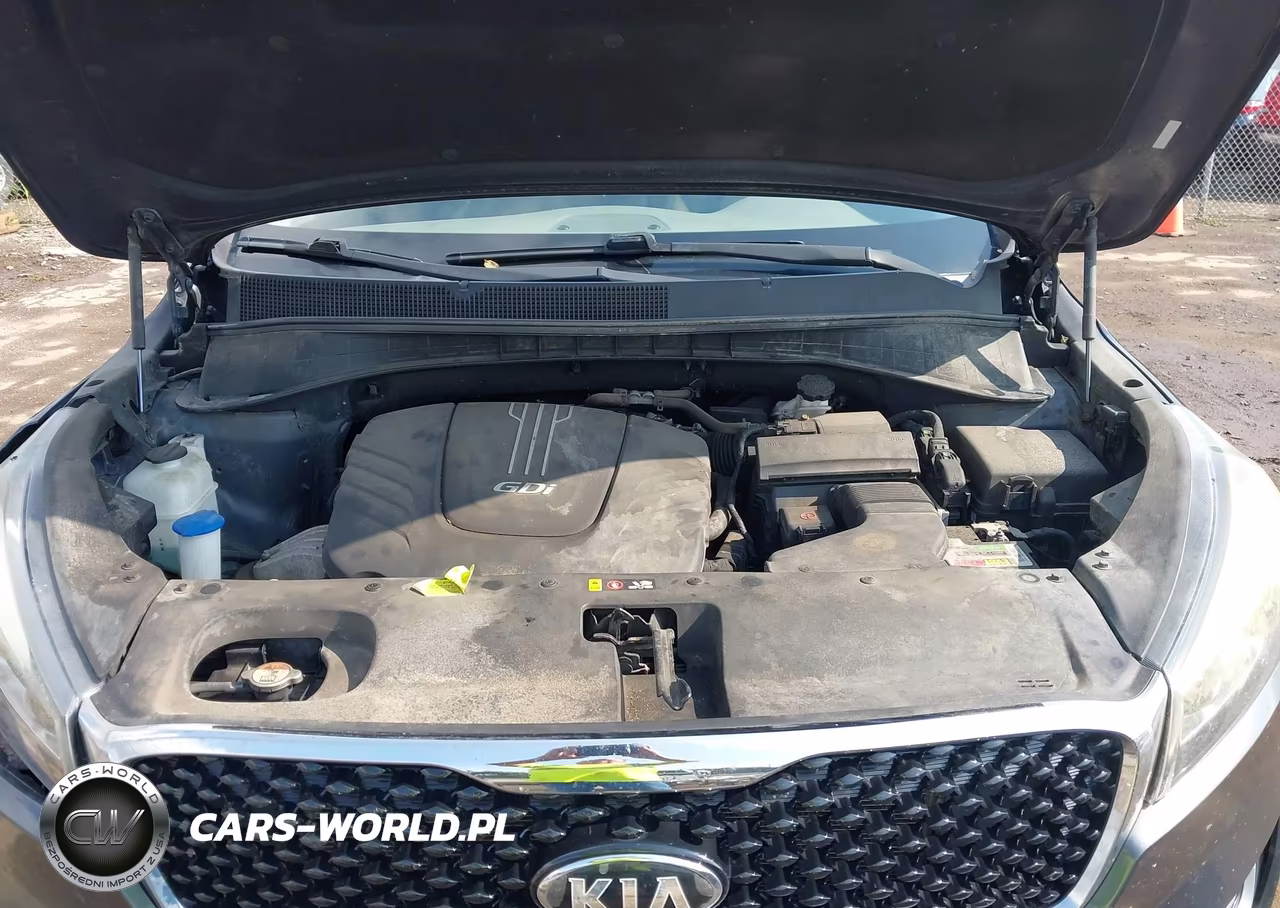2016 Kia Sorento 3.3L Ex VIN:5XYPH4A54GG105623 - 10