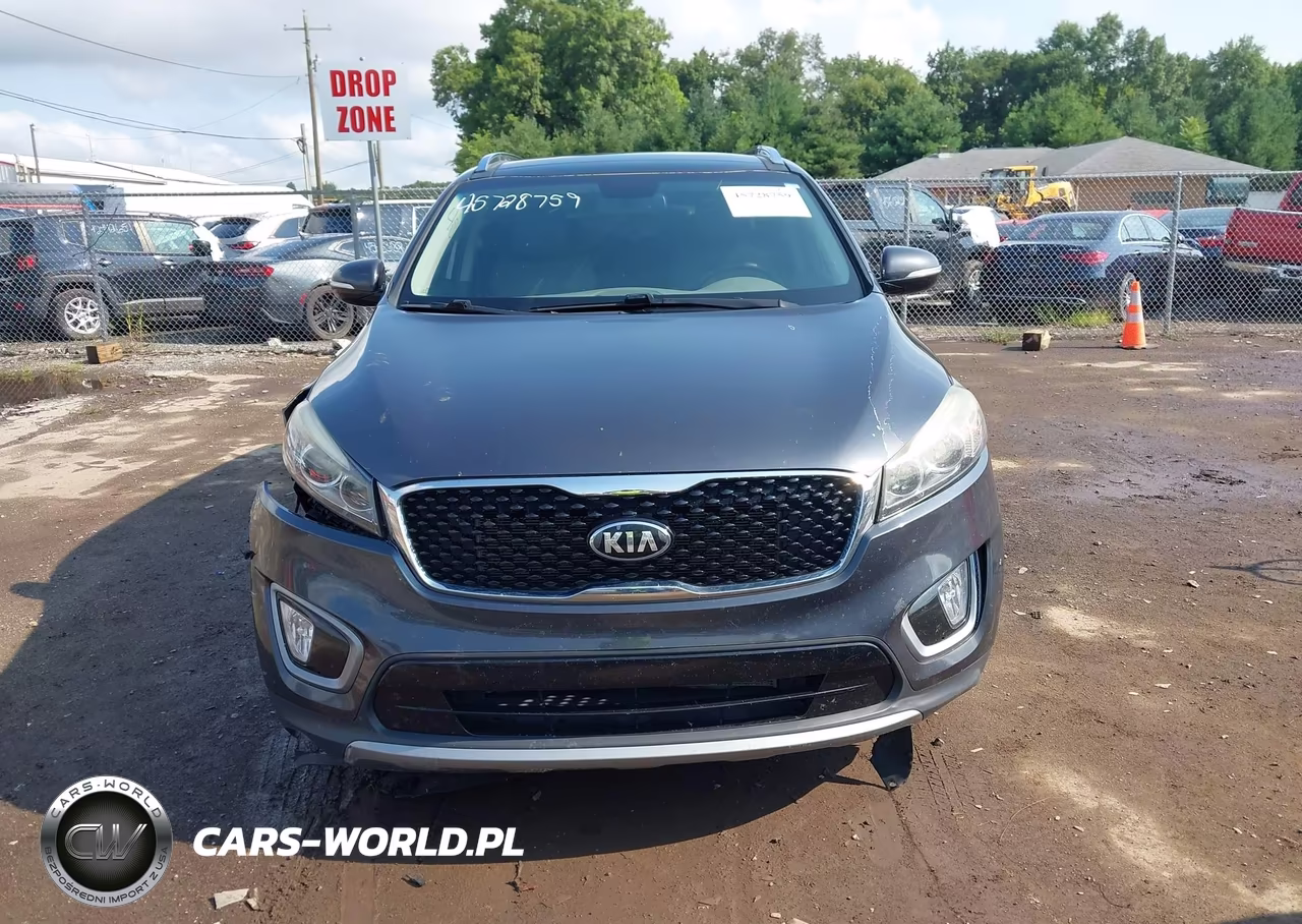 2016 Kia Sorento 3.3L Ex VIN:5XYPH4A54GG105623 - 12