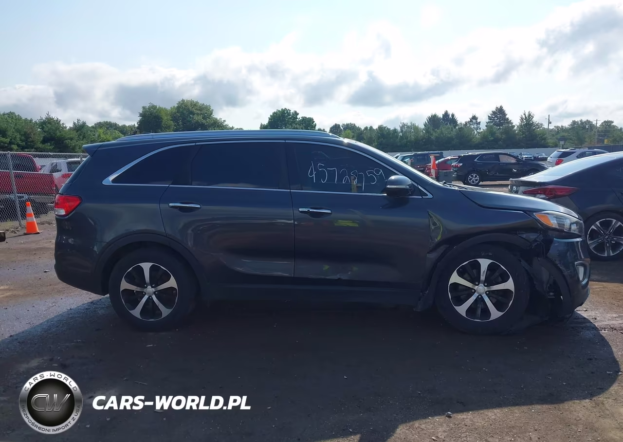 2016 Kia Sorento 3.3L Ex VIN:5XYPH4A54GG105623 - 13