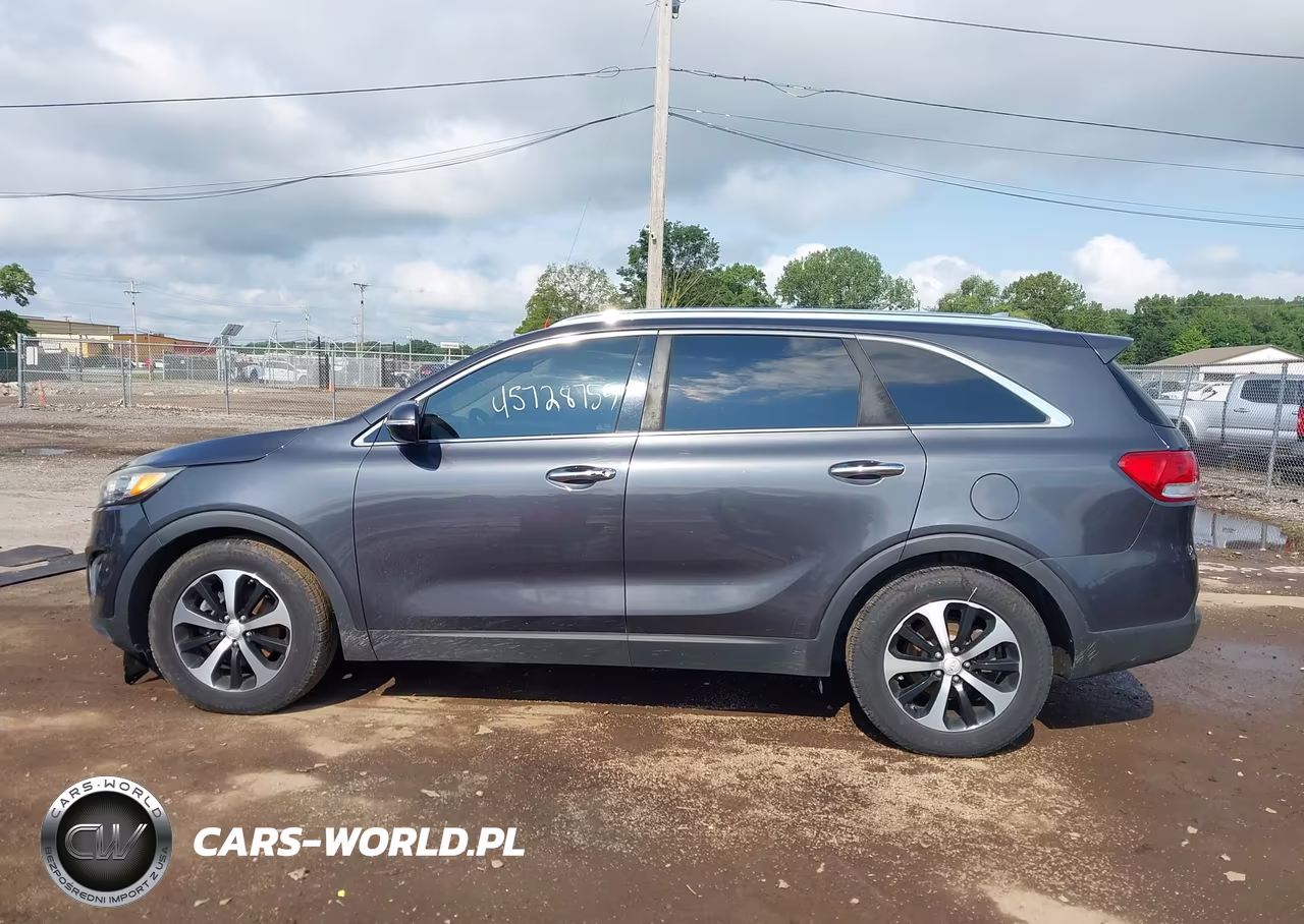 2016 Kia Sorento 3.3L Ex VIN:5XYPH4A54GG105623 - 14
