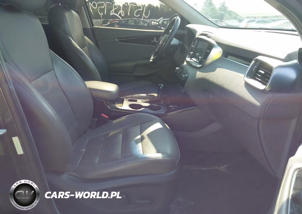 2016 Kia Sorento 3.3L Ex VIN:5XYPH4A54GG105623 - 5