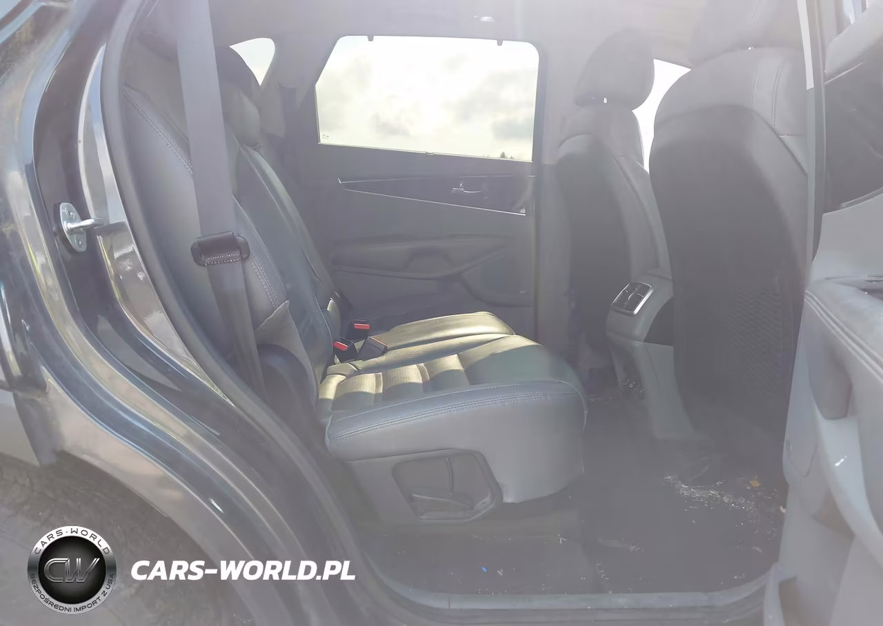 2016 Kia Sorento 3.3L Ex VIN:5XYPH4A54GG105623 - 8