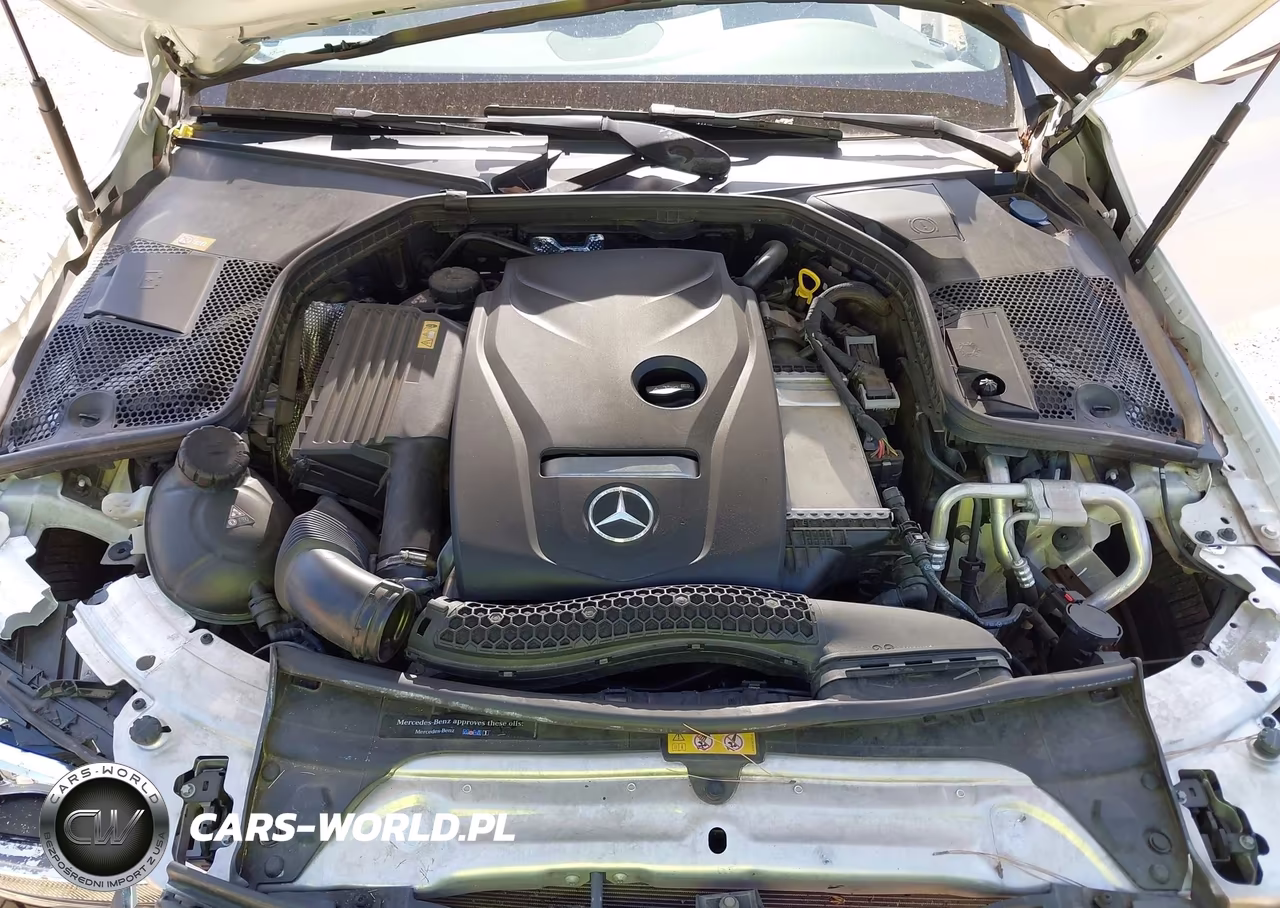2016 Mercedes-Benz C 300 VIN:55SWF4JB1GU161788 - 10