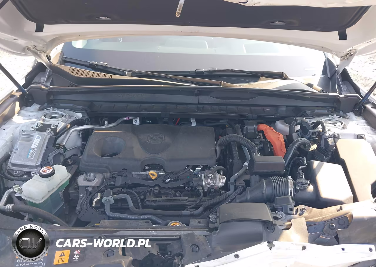 2025 Mazda Cx-50 Hybrid Premium Plus Package VIN:7MMVAAEW3SN119737 - 10