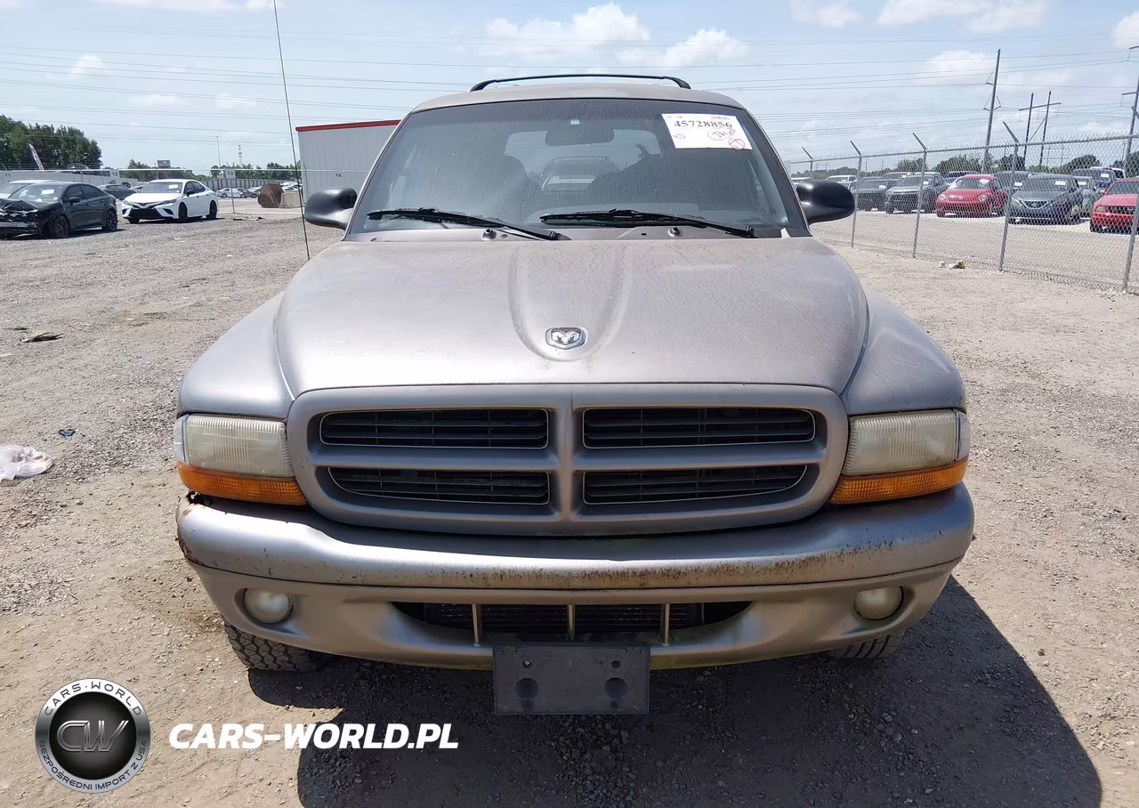 1999 Dodge Durango VIN:1B4HS28Y8XF608761 - 6