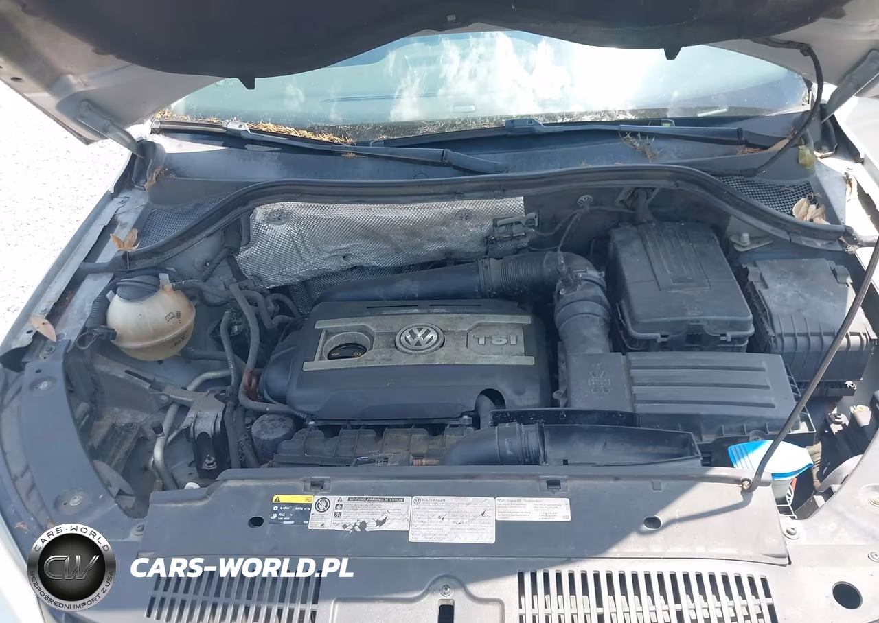 2013 Volkswagen Tiguan Se VIN:WVGAV7AX6DW547203 - 10