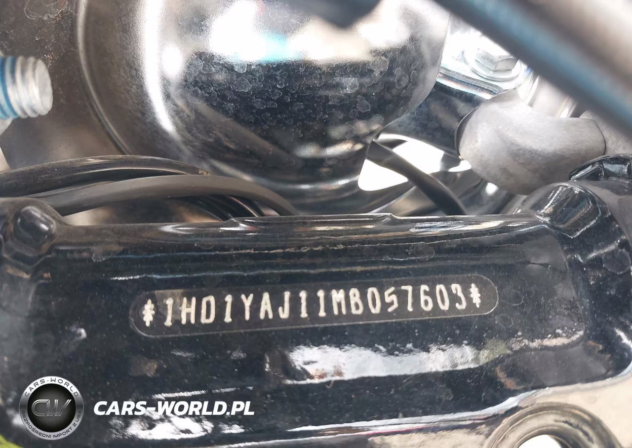 2021 Harley-Davidson Flhc VIN:1HD1YAJ11MB057603 - 10