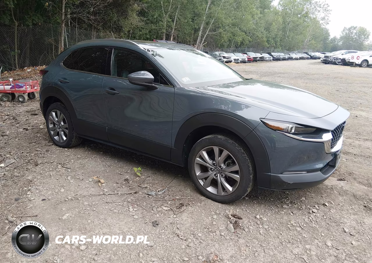 2021 Mazda Cx-30 Premium