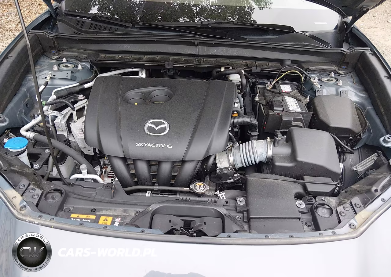 2021 Mazda Cx-30 Premium VIN:3MVDMBDL7MM301100 - 10