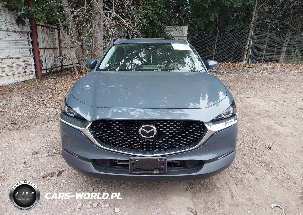 2021 Mazda Cx-30 Premium VIN:3MVDMBDL7MM301100 - 12