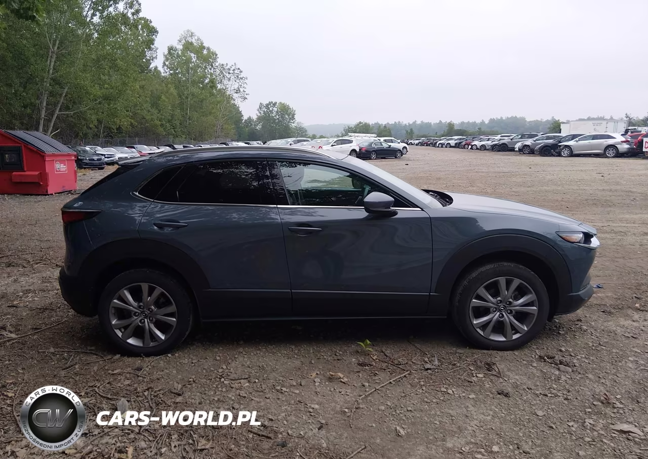 2021 Mazda Cx-30 Premium VIN:3MVDMBDL7MM301100 - 13