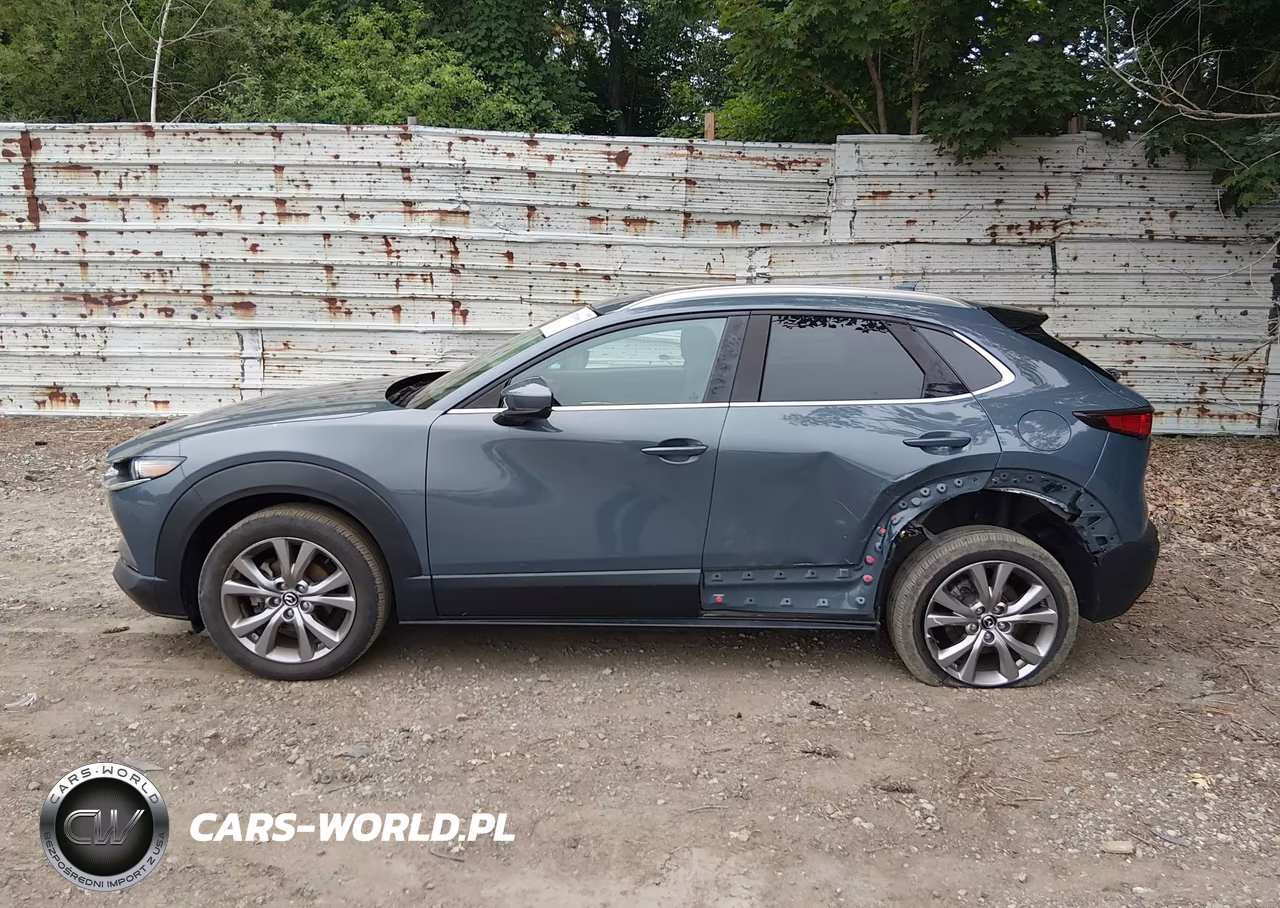 2021 Mazda Cx-30 Premium VIN:3MVDMBDL7MM301100 - 14