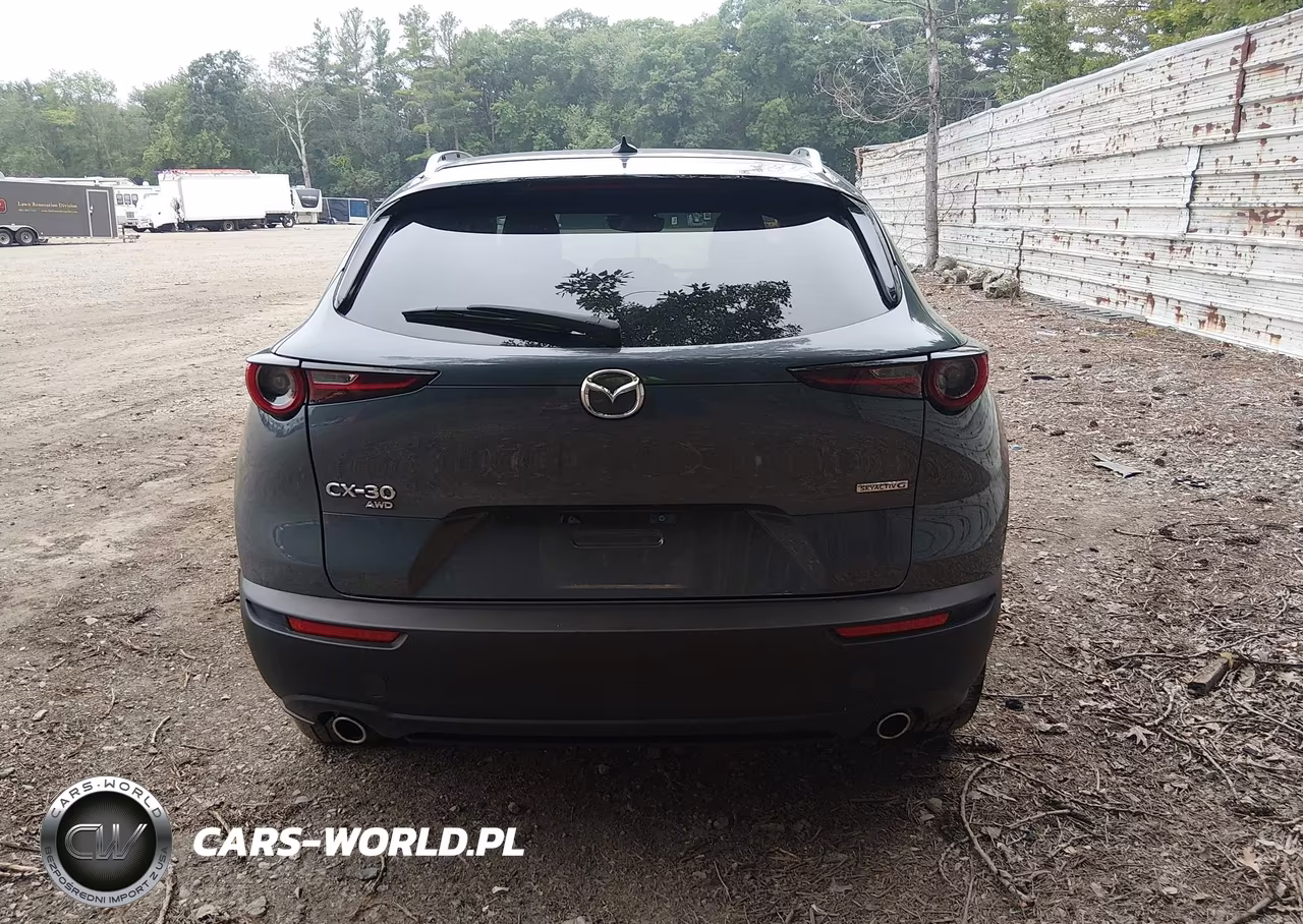 2021 Mazda Cx-30 Premium VIN:3MVDMBDL7MM301100 - 16