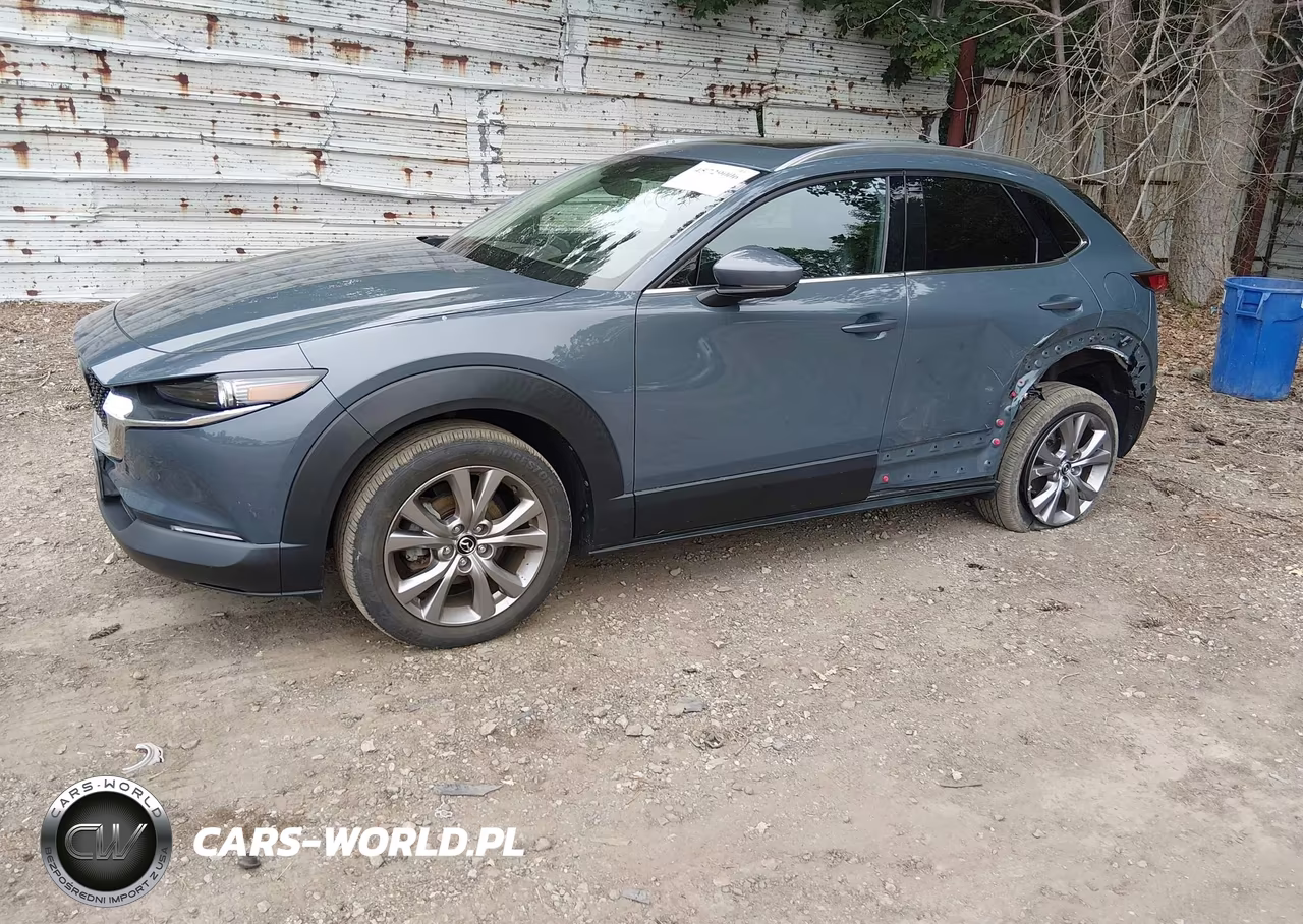 2021 Mazda Cx-30 Premium VIN:3MVDMBDL7MM301100 - 2