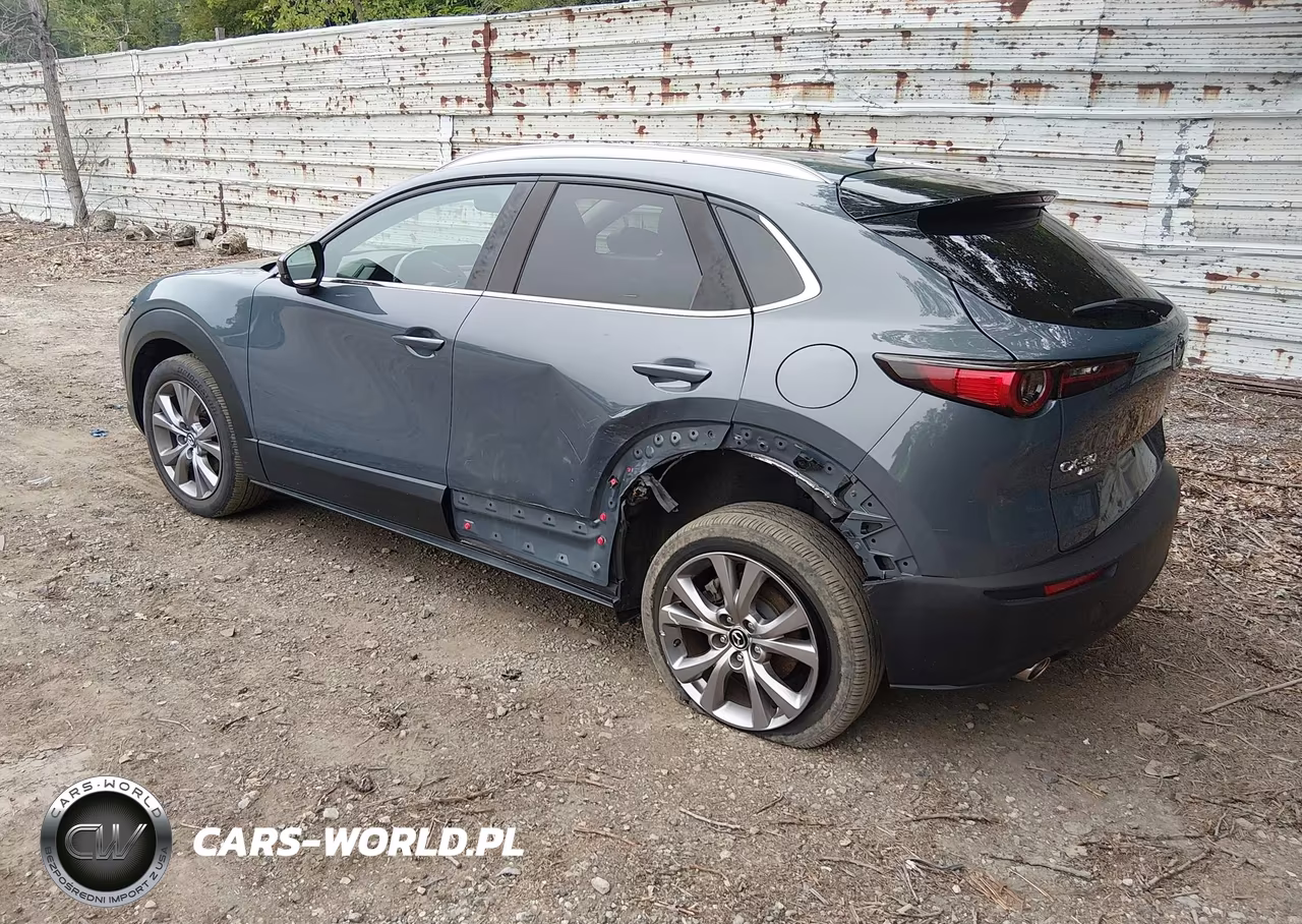 2021 Mazda Cx-30 Premium VIN:3MVDMBDL7MM301100 - 3