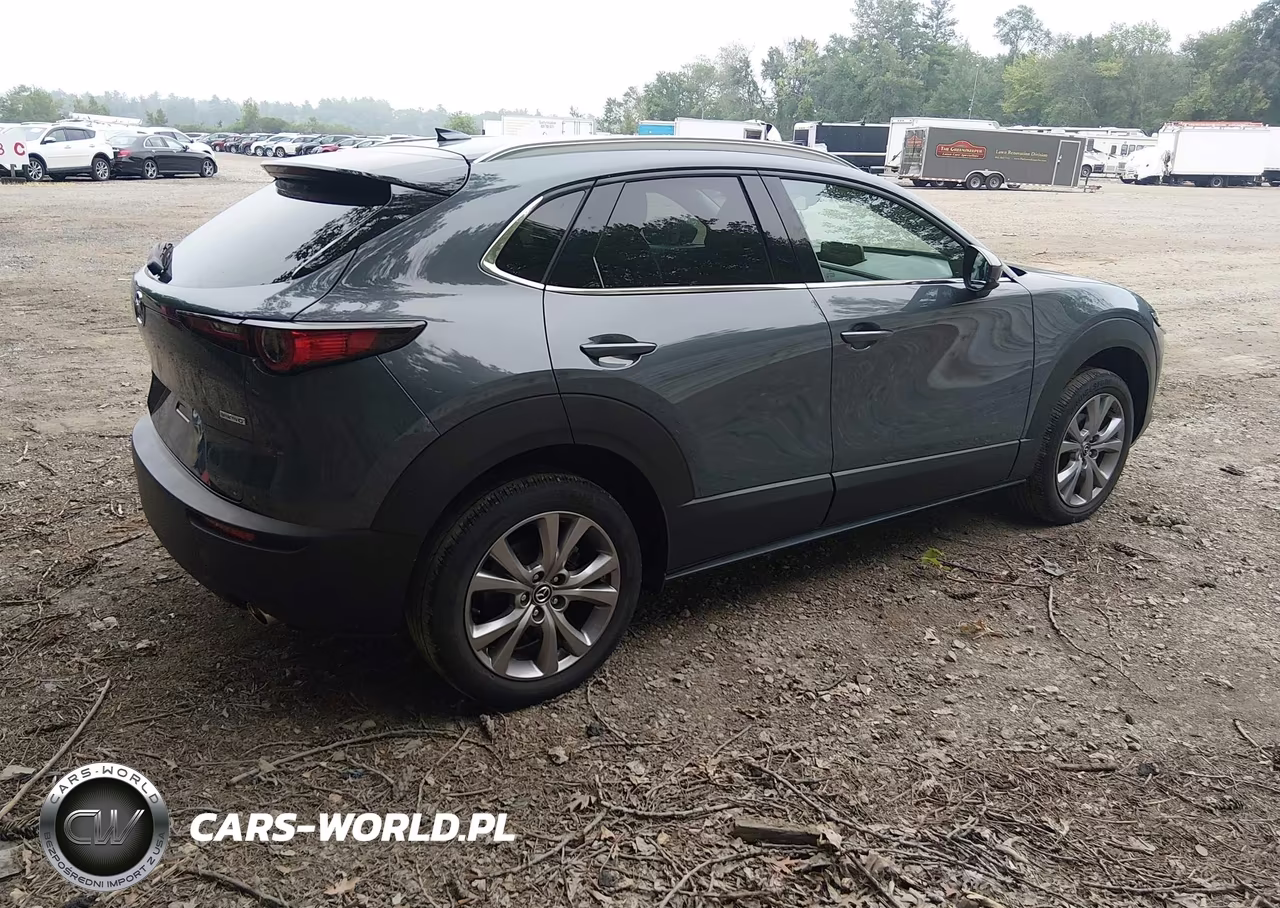 2021 Mazda Cx-30 Premium VIN:3MVDMBDL7MM301100 - 4