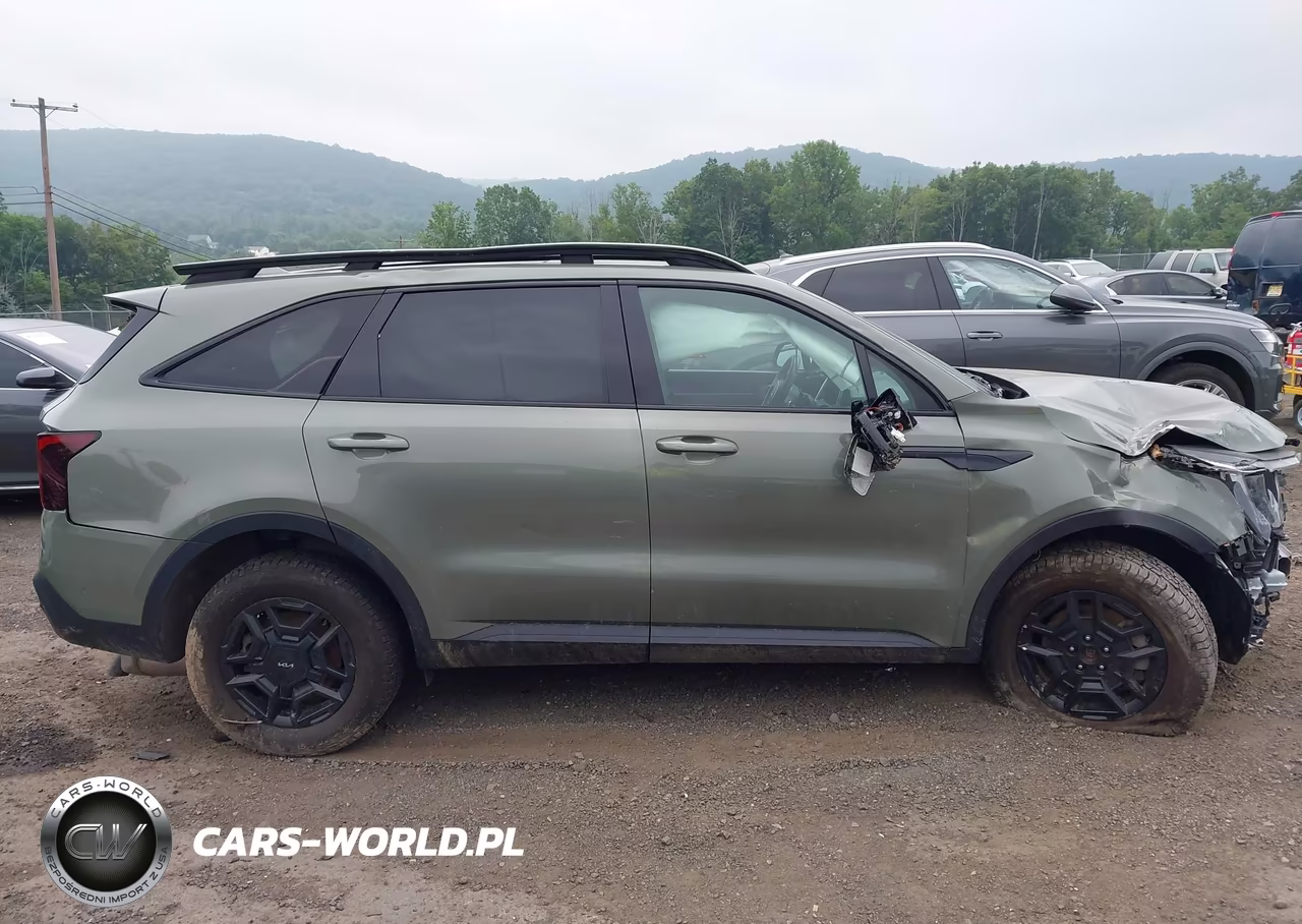 2024 Kia Sorento X-Pro Sx Prestige VIN:5XYRKDJF4RG293615 - 14