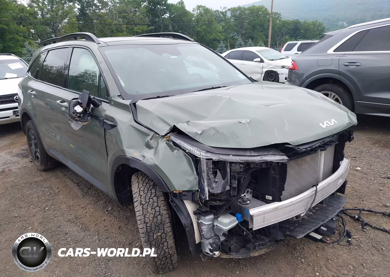 2024 Kia Sorento X-Pro Sx Prestige VIN:5XYRKDJF4RG293615 - 6