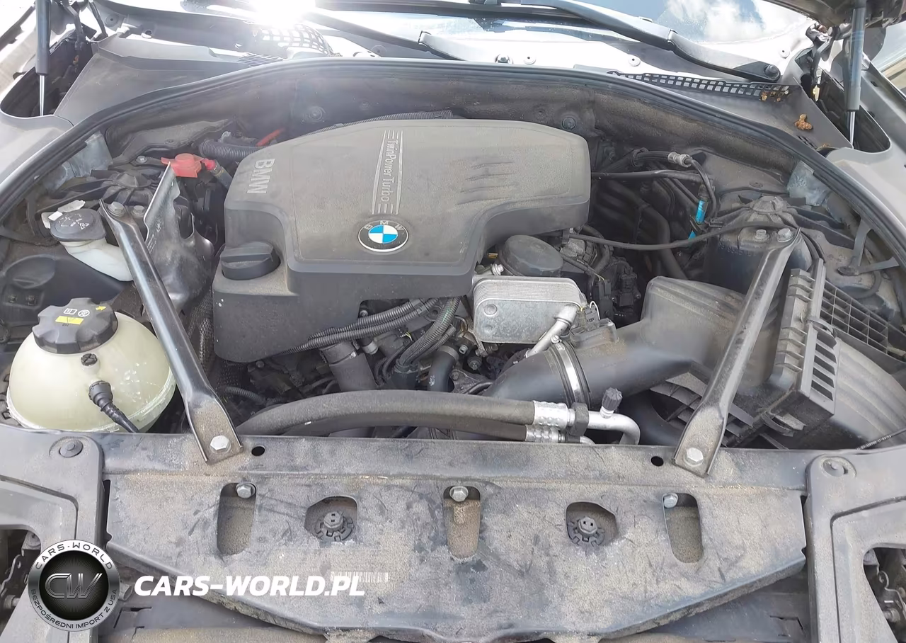 2014 BMW 528I xDrive VIN:WBA5A7C5XED620452 - 10