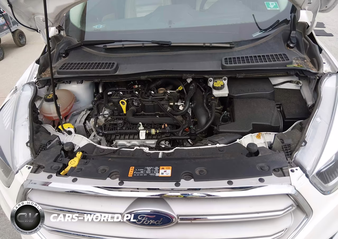 2019 Ford Escape Sel VIN:1FMCU9HD6KUA30835 - 10